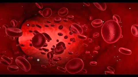 Hybrids and Rh Negative Blood - ROBERT SEPEHR
