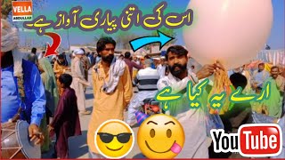 Doll Ka Bada Khubsurat Awaaz Abdullah72