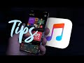 Domina Apple Music 2020 con estos tips, apps y Siri Shortcuts | QiiBO