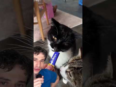 Muscle Man Morning Routine. #dermreacts #skincareroutine