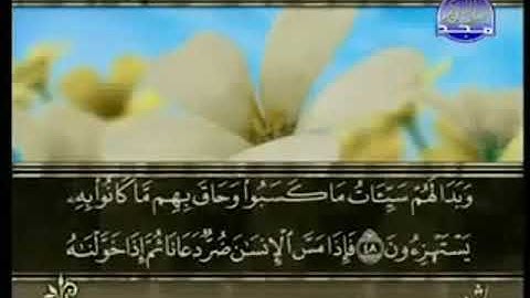 سورة الزمر من الآية 48 الى الآية 67