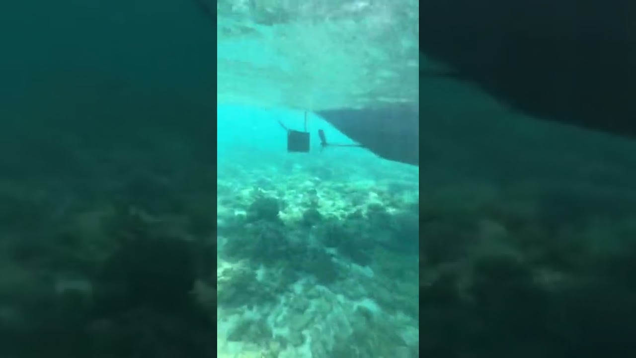 Crystal Cove Coral Reef Sanctuary 