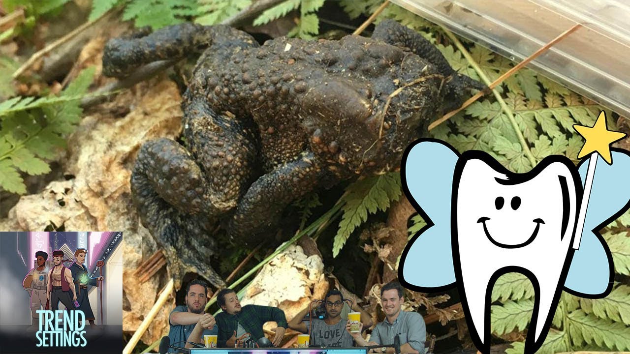 Faceless Toads and Stingy Tooth Fairies - Trend Settings Ep 78 pt 3 ...
