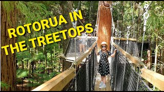 Rotorua - Red Wood Forest walking in the tree tops.