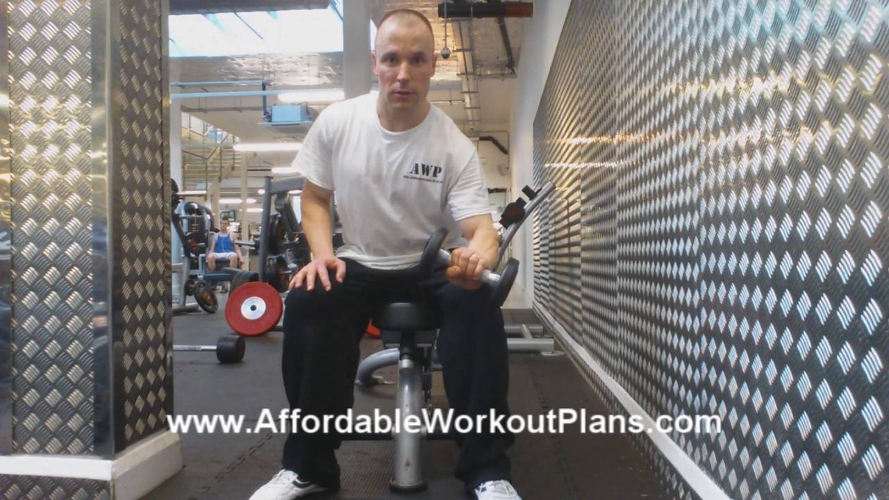 training planner Seated Single Arm Overhand Wrist Curl with Dumbbell (exercise for lower arms)