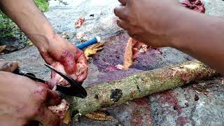 Sarmoli Trip Two Days One Night