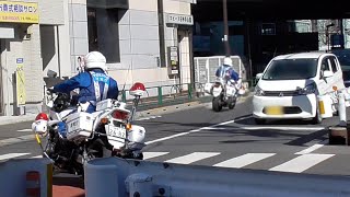 歩行者が渡っているのにスピードを緩める事なく通過する危険運転トラックに対し、白バイ2台が緊急走行で猛追する姿がやっぱりかっこいい！！