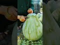 Lauki Se Banayi Noodles 😳#shorts #ytshorts #lauki #bottlegourd #chinafacts #foodfacts #weirdfood