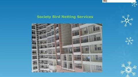 Society Building Bird Net Services,,Kothrud,Pimpri,Wakad,Nigdi,Warje,Karvenagar,Pune