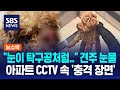 &quot;눈이 탁구공처럼..&quot; 견주 눈물…아파트 CCTV 속 &#39;충격 장면&#39; / SBS / 뉴스딱