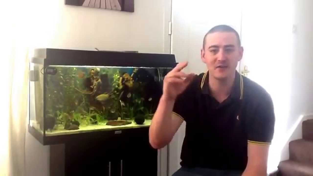 Check out the angry fishman channel this guy cracks me up