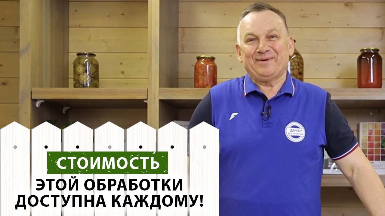 Сколько стоит обработка плодового дерева? Считаем вместе! - YouTube