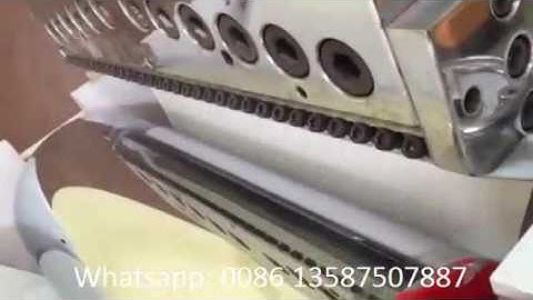 SPJ 110/33 800 Single Layer PP PS Sheet Extrusion Line in Algeria