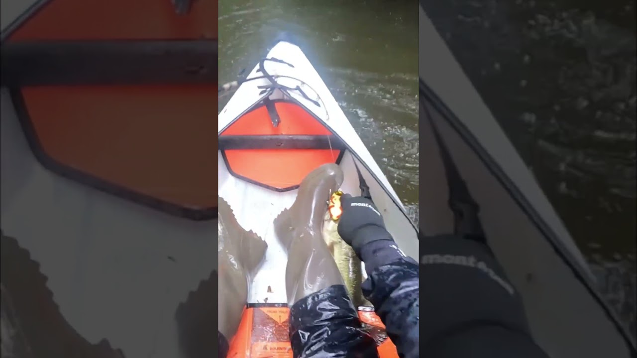 道楽『ほーほけきょ』 #fishing #kayakfishingtips #トップウォーター