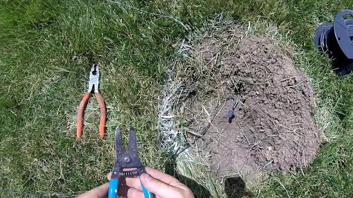 Så här reparerar du en elhundspark i marken