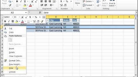 Excel 2010 Tutorial Deleting Records and Fields Microsoft Training Lesson 23.4