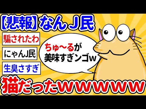 【2ch面白いスレ】なんｊ民さん、猫用ちゅ～るにハマってしまうｗｗ【ゆっくり解説】