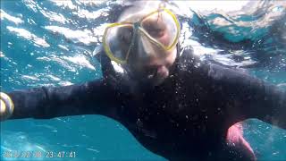 Diving with Turtles Tenerife 2019