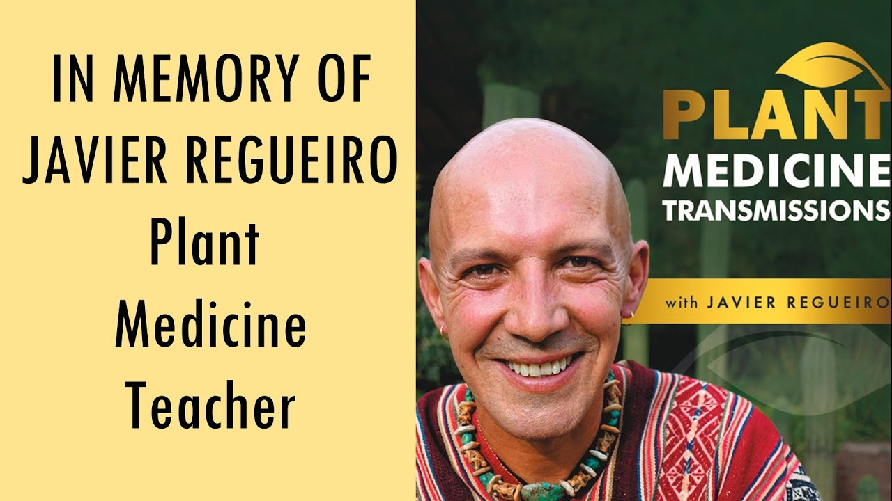 Javier Rugerio JAVIER REGUEIRO MEMORIAM - YouTube