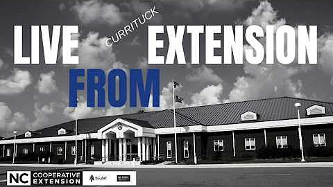 Live from Currituck Extension