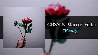 Video thumbnail of "GBSN & Marcus Veltri - Peony (Original)"