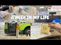 Final Semester Week 11 | Uni life in Singapore | Calming Vlog [Vlog # 24]