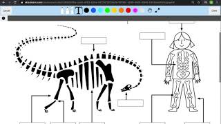 Student Smart Start #4 — Try a Lesson — 2-5 Web (English) screenshot 2