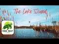 The lake sound with birds song ambiancesound ambient ambience