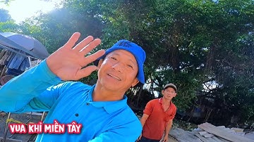 Vua Khỉ cùng 2 đệ t.ử cưa tỉa cành cây Bồ Đề siêu to nằm trên nóc nhà(1/2)...