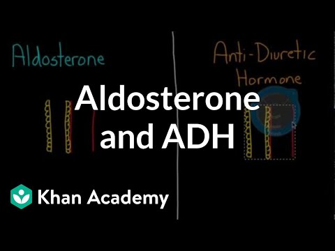 Video: Rozdíl Mezi ADH A Aldosteronem