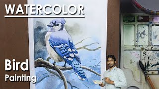 How to Paint Bird in Watercolor | Watercolor Blue Jay Painting | step by step