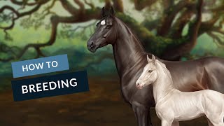 Horse Reality - Beginner's Guide #5 - Breeding screenshot 4