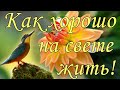 С Добрым Утром! Как ХОРОШО НА СВЕТЕ ЖИТЬ! Красивое Пожелание с Добрым Утром. Открытка Доброе Утро