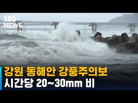 강원 동해안 강풍주의보…시간당 20~30mm 비 / SBS