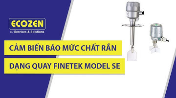 Đặc điểm và Nguyên lý hoạt động của Cảm biến báo mức silo, chất rắn dạng xoay, quay Finetek Model SE