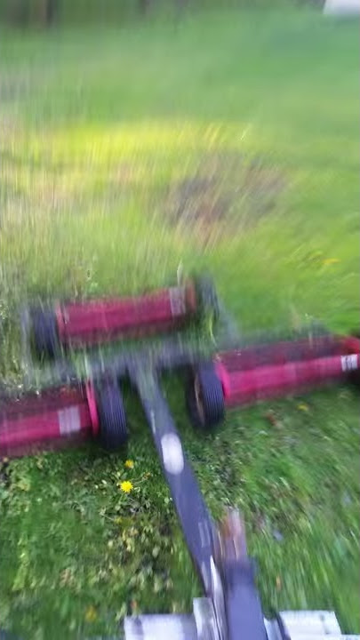 7 gang reel lawn mower. Part 1 cutting grass 