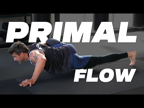 Primal Flow - Primal Movement Pre-Workout Flow