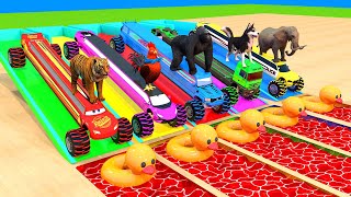 4 Giant Duck Cartoon, Elephant, Gorilla, Chicken, Dog, Tiger Wild Animals Crossing Fountain 2023