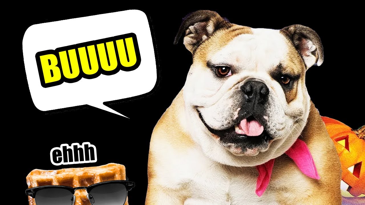 La película de HALLOWEEN más CONFUSA del MUNDO