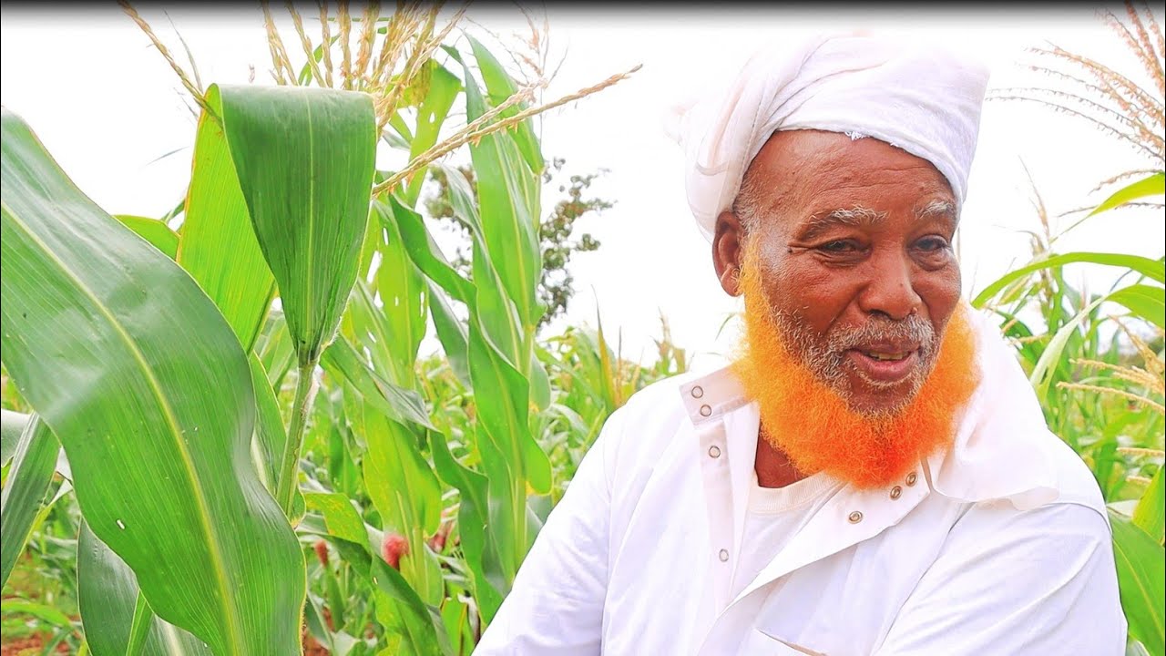 An American Citizen (Abba Gaala)Turns A farmer In Qorobo Saglan Village In Mandera's Takaba Area.