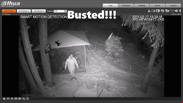 Dahua Smart Motion Detection Plus (SMD+) using Lite AI IP series camera, snow, dark, cold.