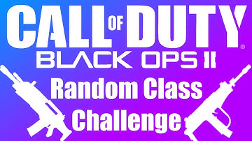 Black Ops 2 Random Class Generator