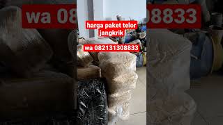 harga paket telor jangkrik wa 082131308833