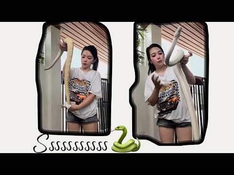 MEET SNOW AND BANANA 🐍