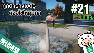 Planet Zoo (+DLC) EP.21 : ทุกตารางเมตร ต้องใช้ให้คุ้มค่า