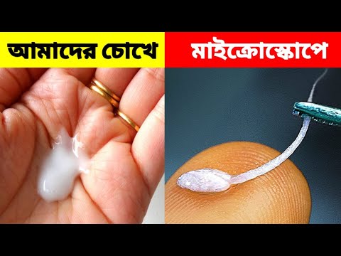 ভিডিও: ব্র্যাটস্কে বৈকাল শপিং সেন্টার: খোলার সময়, দিকনির্দেশ, পর্যালোচনা