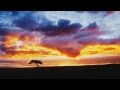 Smashing Pumpkins w. John Popper - Porcelina - 10/19/97 - [AUDIO + Nature Mix]