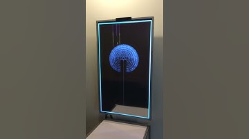 Siggraph Asia 2017 - Art Gallery: The Ghost in the Dandelion