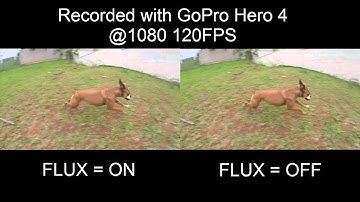Comparing FLUX feature for GoPro Studio 2.5