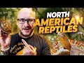 Top 5 North American Reptiles That Make AMAZING Pets!